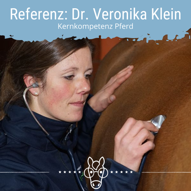 Referenz: Dr. Veronika Klein von Kernkompetenz Pferd